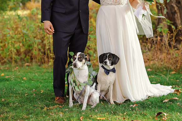 Delafield Fall Wedding - Memory Lane Photography by Jessica Lane - WI Wedding Photographer